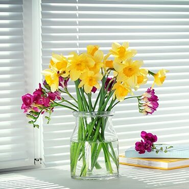 White blinds behind yellow tulips
